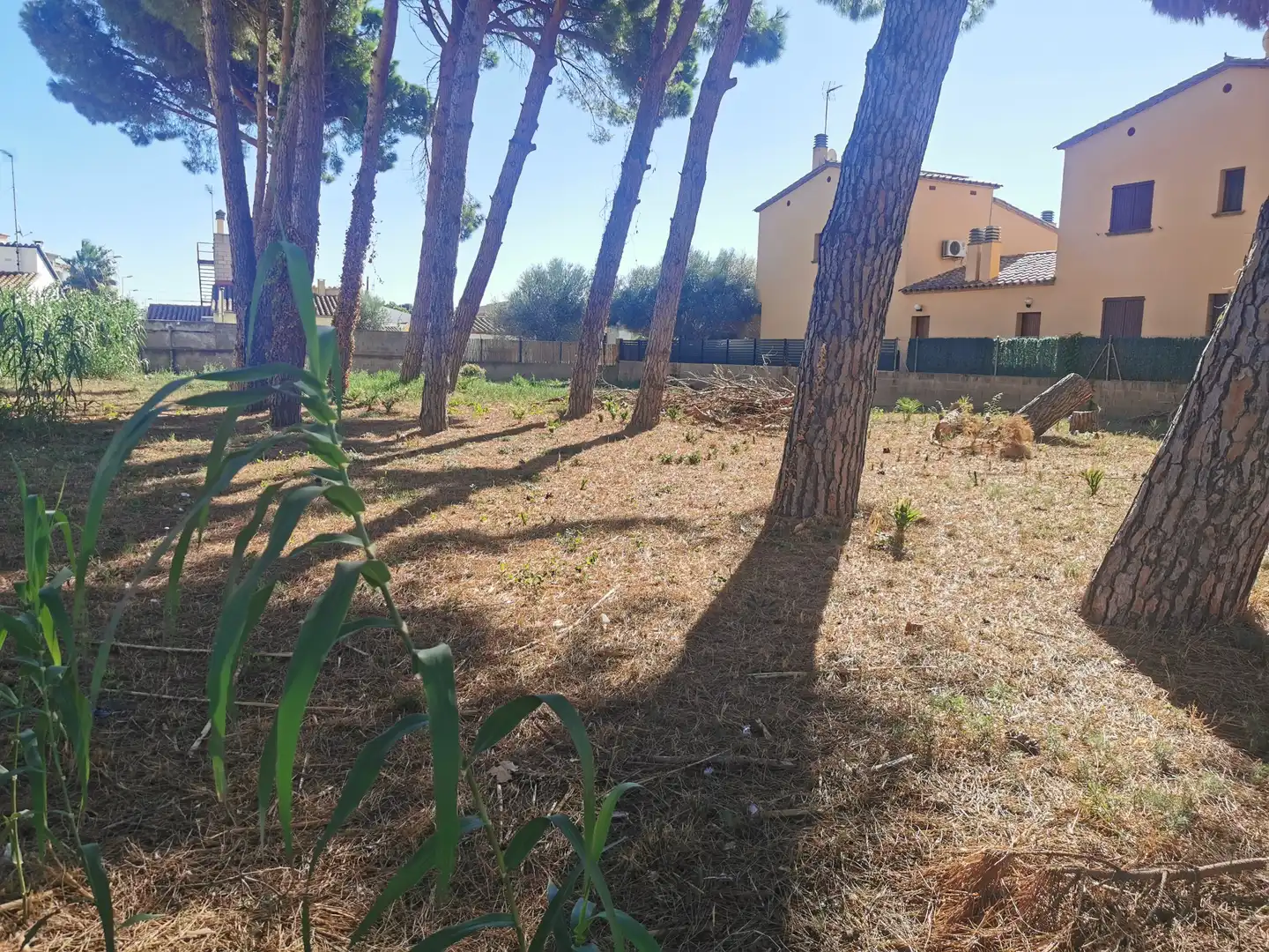 Residential land for sale in Carrer Riells de Dalt, imagen 7