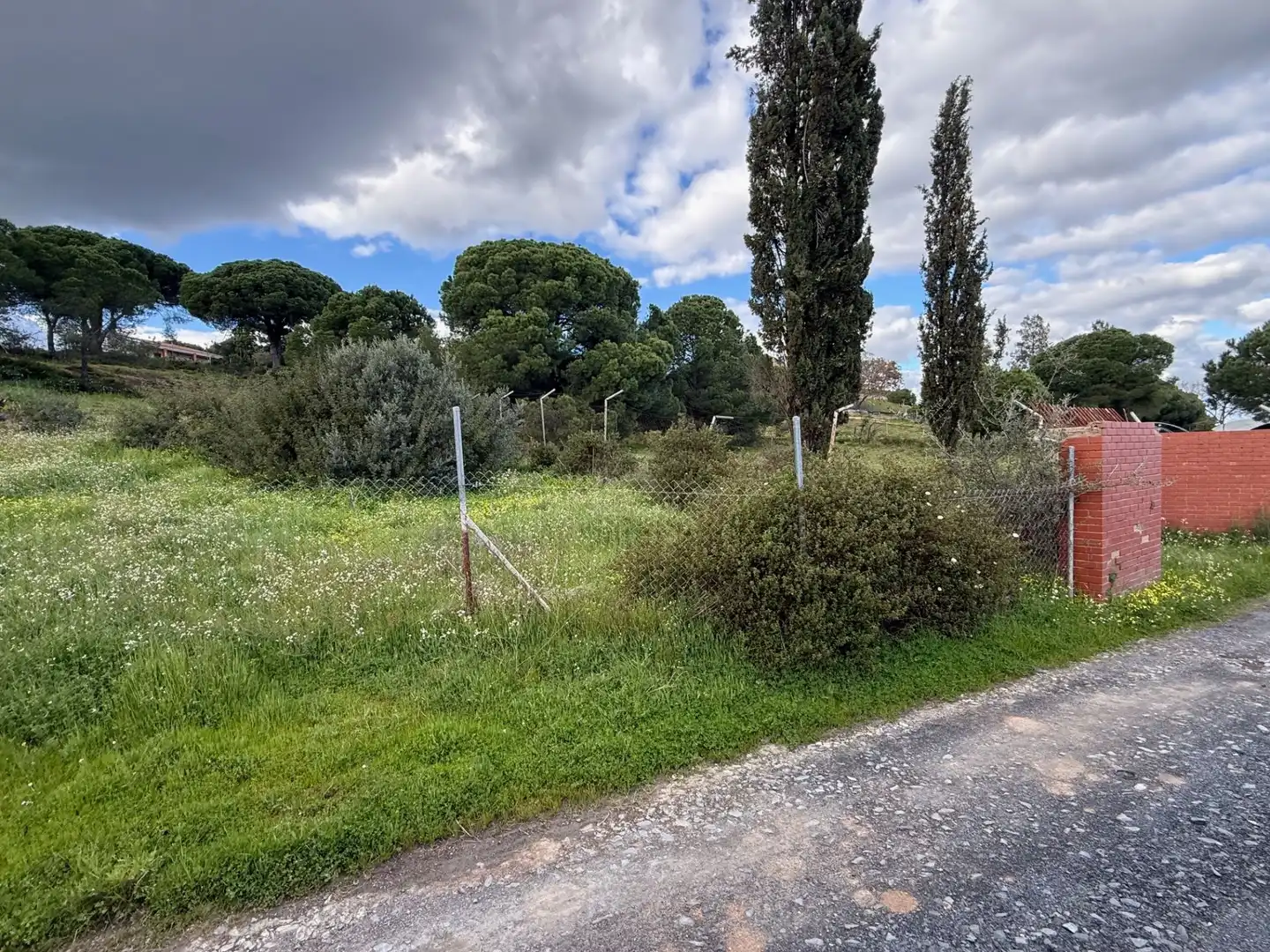 Terrenos y solares en venta en Las Palmillas, imagen 10