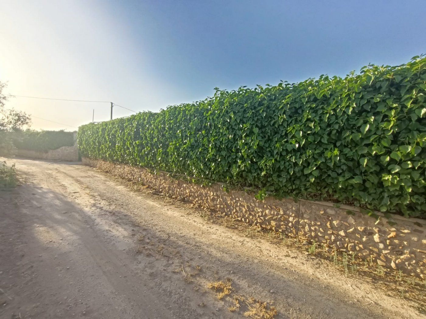 Finca rústica en venda en Antequera
