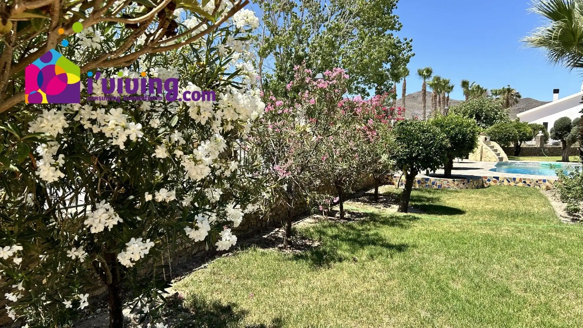 Garden of Houses for rent in Cantoria