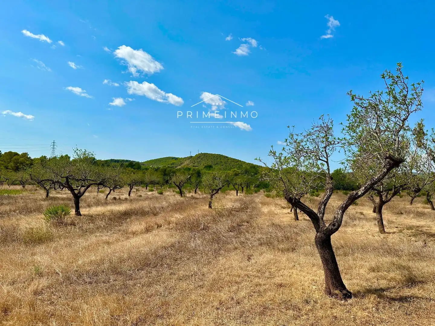 Casa rústica en venta en El Perelló, imagen 18