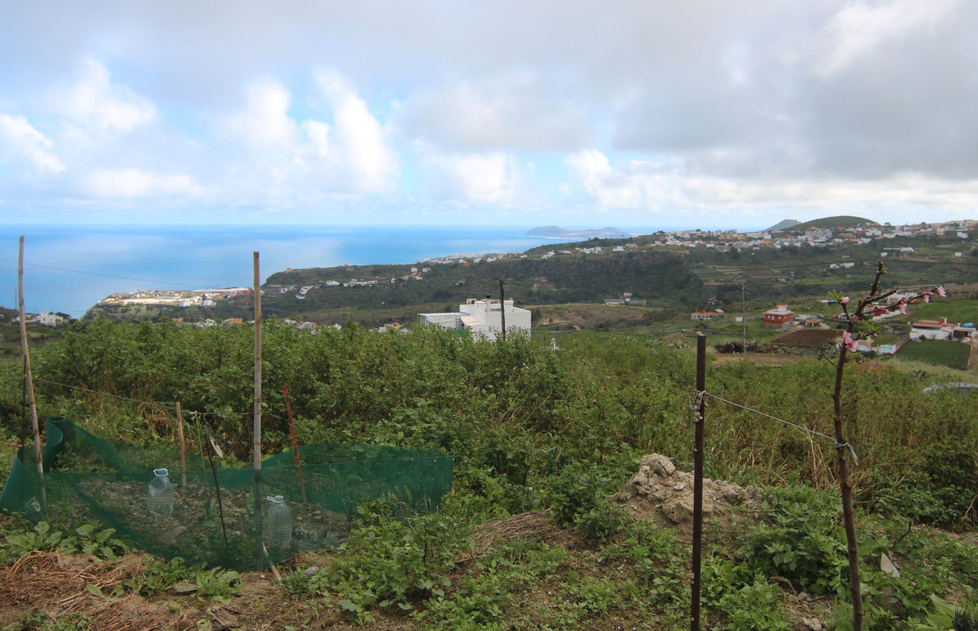 Finca rústica en venda a Casas de Aguilar
