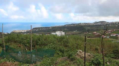Foto 2 de Finca rústica en venda a Casas de Aguilar, Santa María de Guía de Gran Canaria, Las Palmas
