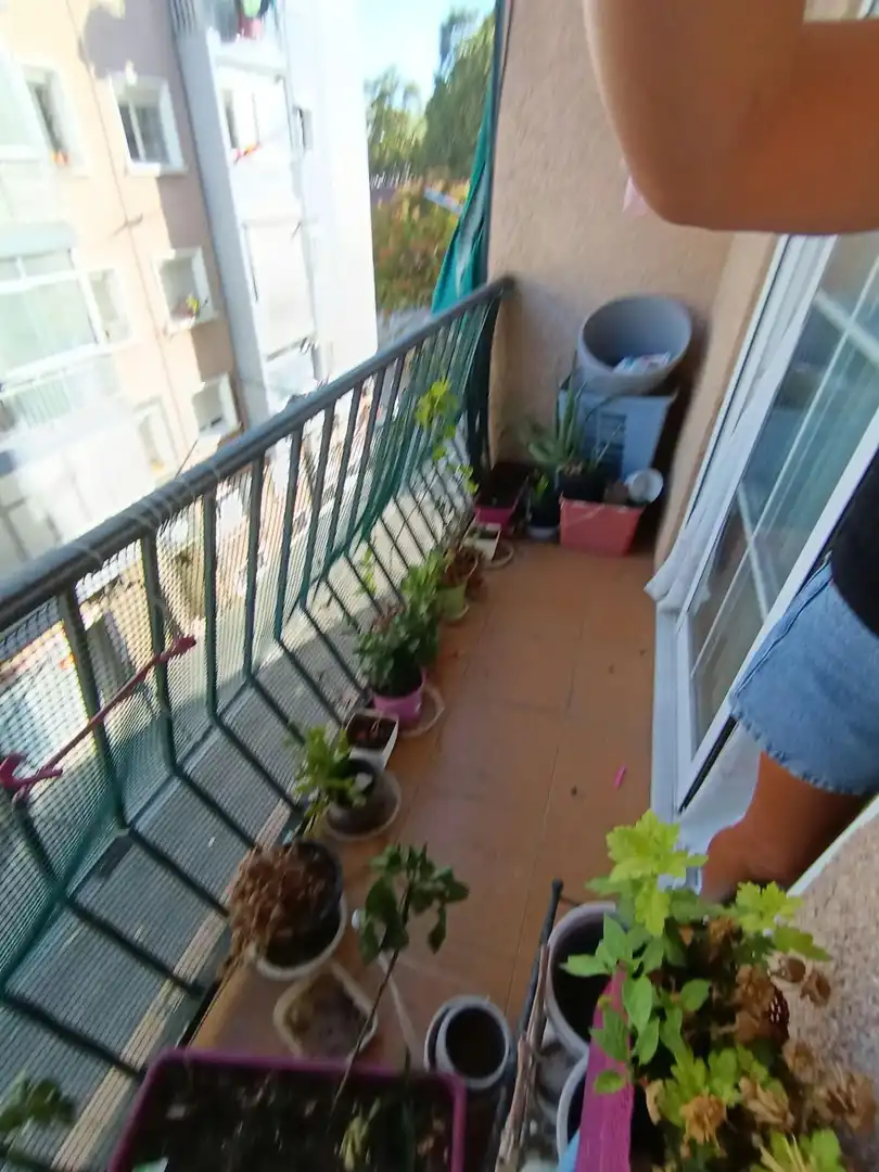 Pis amb terrassa en venda a Plana Lledó, imagen 11
