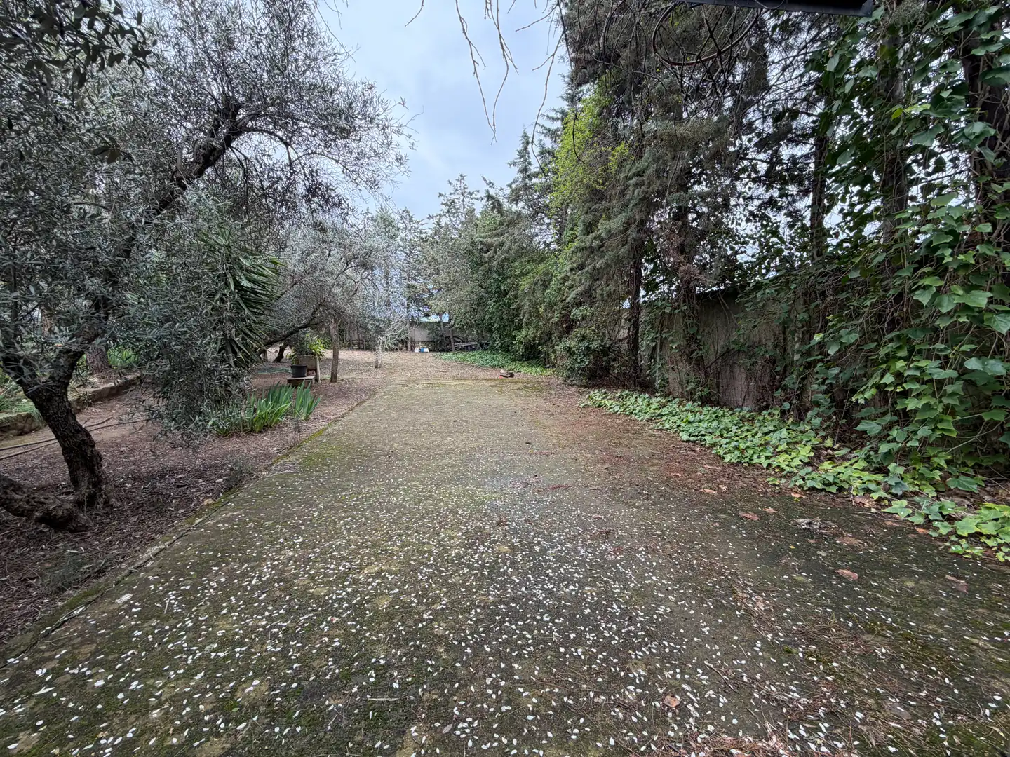 Xalet amb piscina en venda a Camino de El Vergel., imagen 15