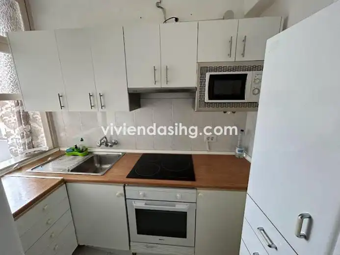Studio mit Aufzug zur Miete in Avenida Familia de Betancourt y Molina 14, imagen 4