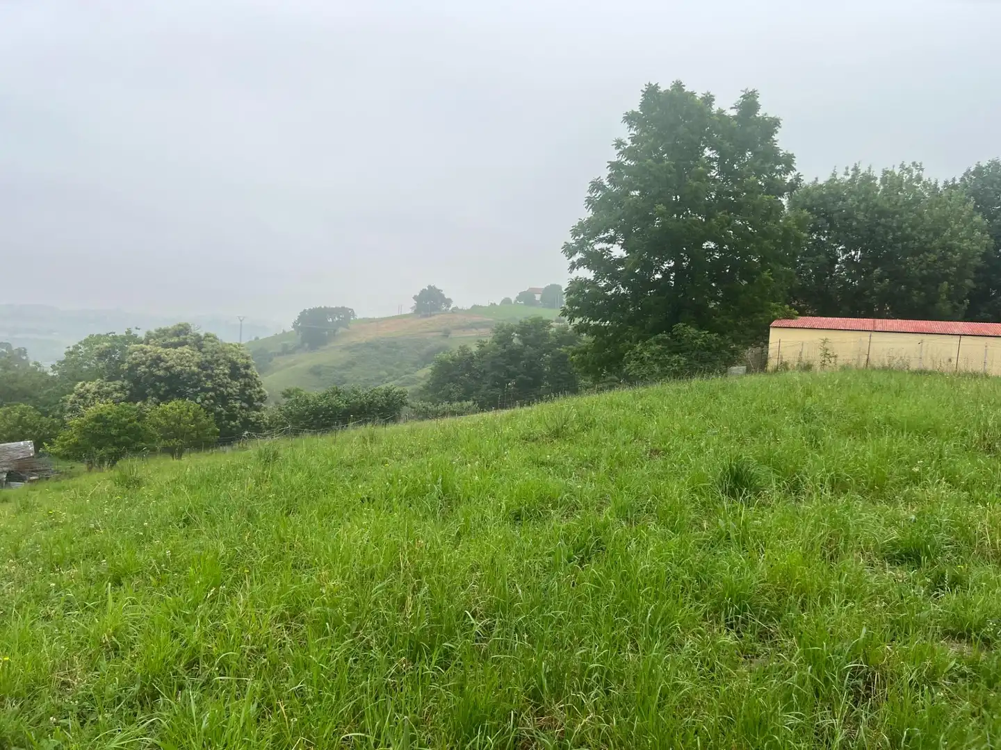 Terreny residencial en venda a Villaescusa (Cantabria), imagen 4