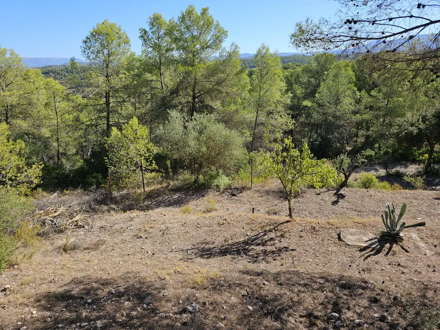 Finca rústica en venta en Tivissa con Aire acondicionado y Internet