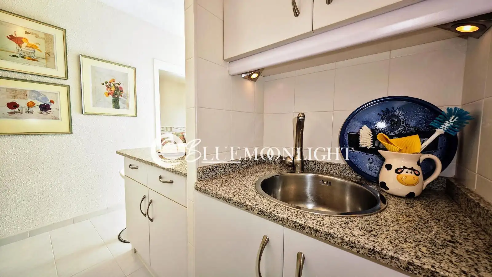 Attic for sale in REALENC, Costa Sur