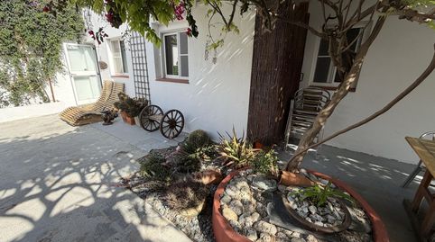 Photo 3 of Houses for sale in Eucaliptus - Poble Nou del Delta, Amposta