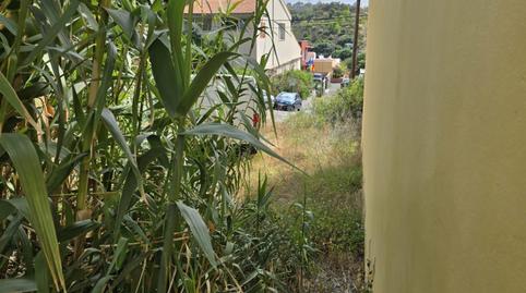 Photo 3 of Residential for sale in  Polígono 9 Paraje 150 Mondalon, 520, Marzagán - Los Hoyos - La Montañeta, Las Palmas