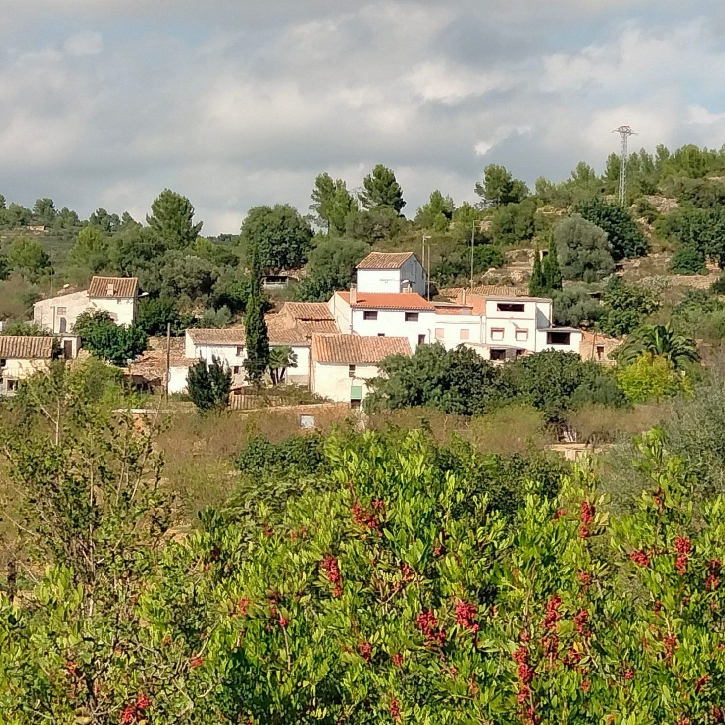 Exterior view of Houses for sale in Vall d'Alba  with Private garden, Storage room and Furnished