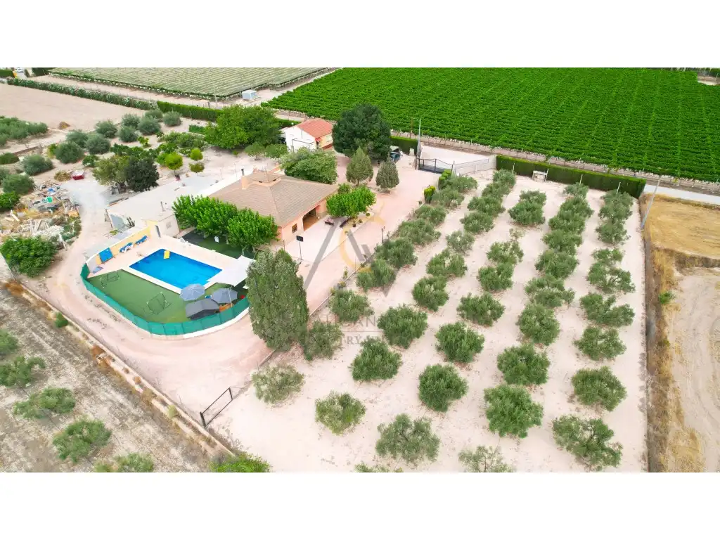 Xalet amb piscina en venda a Poligono 23 Paraje 148 Loma Campet, imagen 3