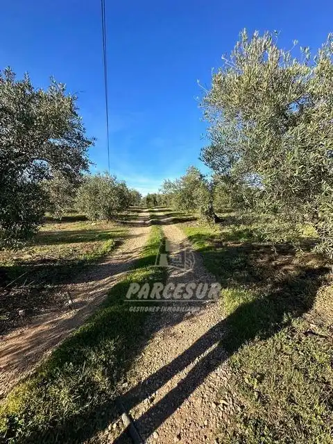 Finca rústica en venta en Adamuz