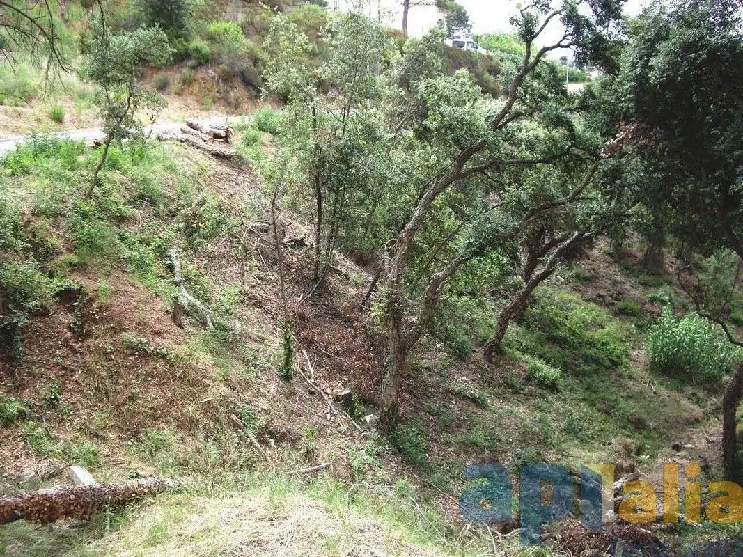 Residential land for sale in Carrer Eucaliptus, imagen 4