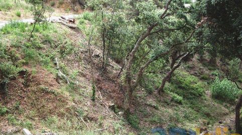 Foto 4 de Residencial en venda a Carrer Eucaliptus, Mas Pere - Río de Oro, Calonge i Sant Antoni