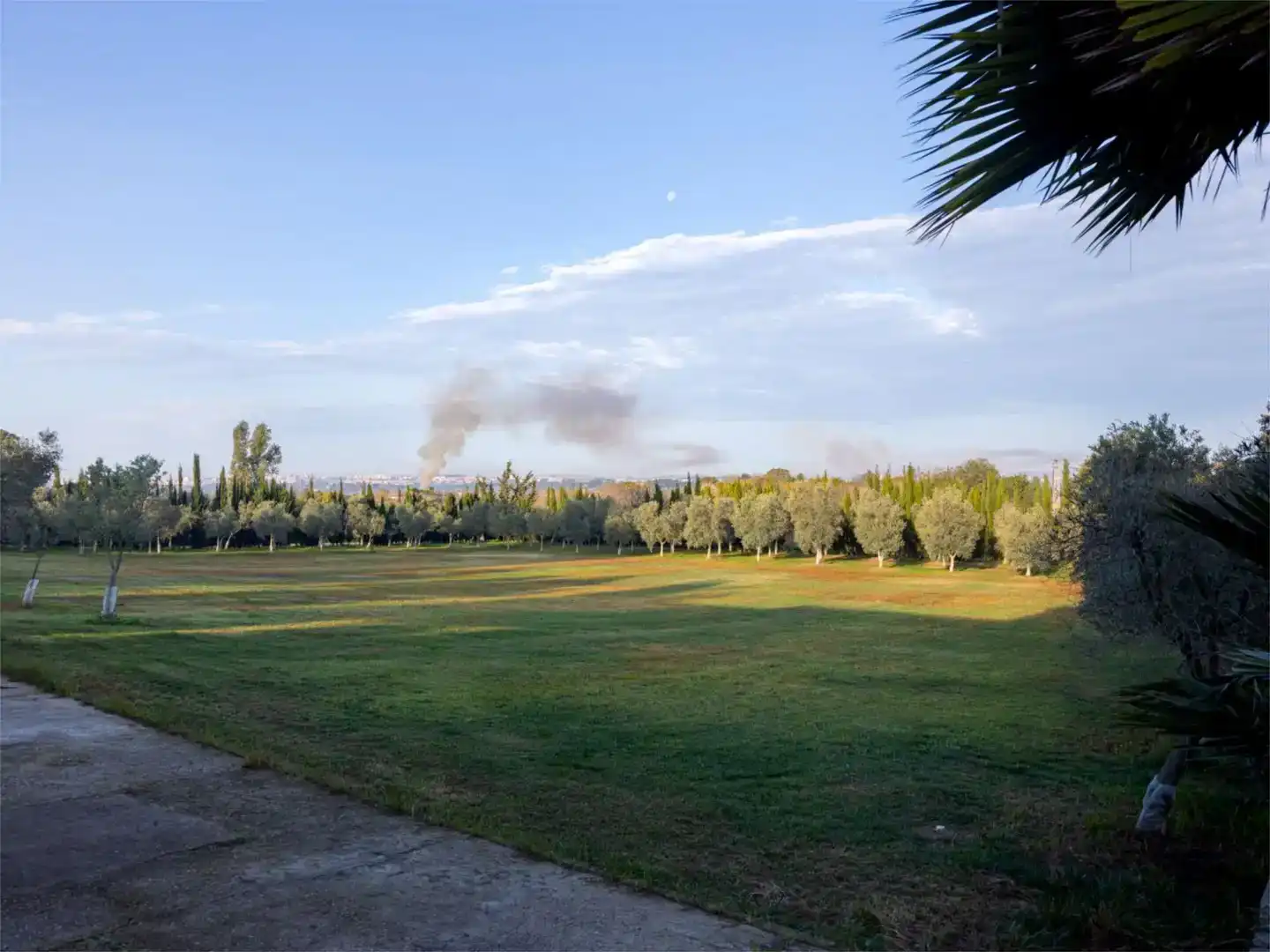 Jardí de Finca rústica en venda en Jerez de la Frontera amb Jardí privat