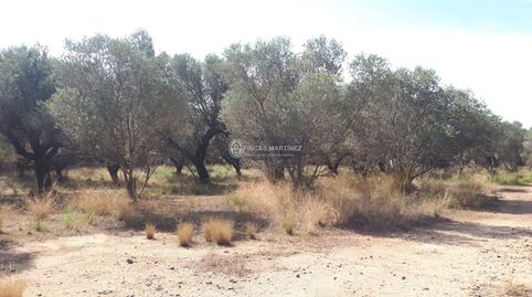 Foto 2 de Residencial en venta en Partida Guardamá O Emprius Riera de Alforja con C, Cambrils Port, Cambrils