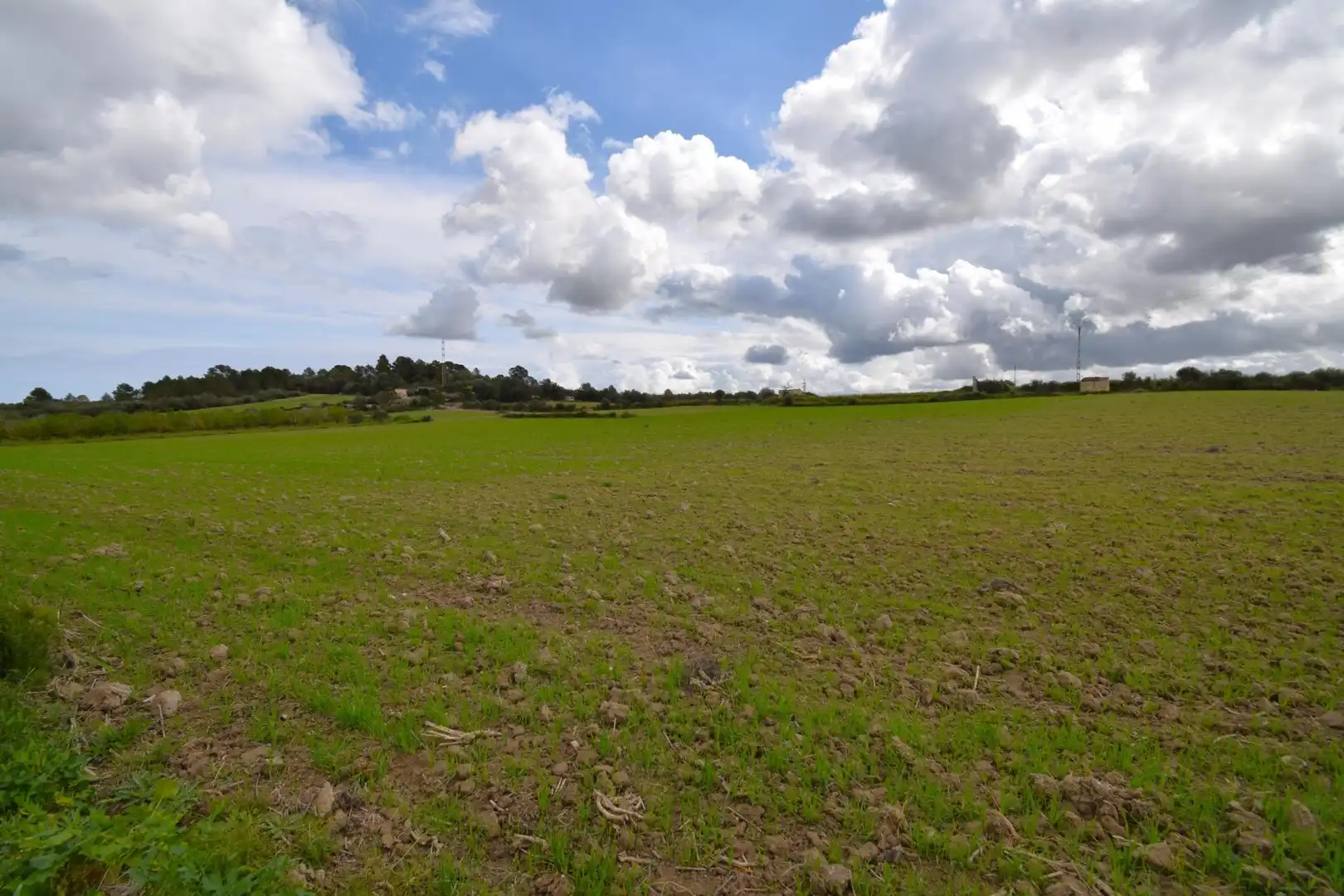 Residential land for sale in Muro, imagen 17