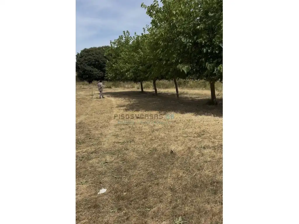 Casa rústica con jardín en venta en PARTIDA COVA NEGRA S/N, imagen 3
