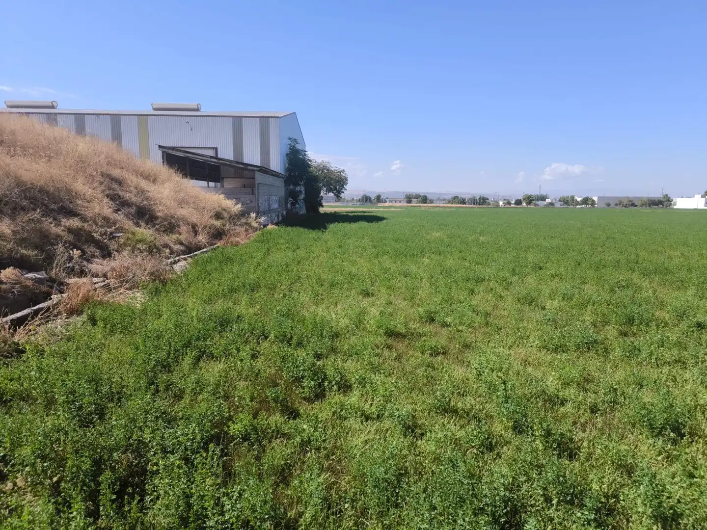 Industrial land for sale in Maracena, Granada