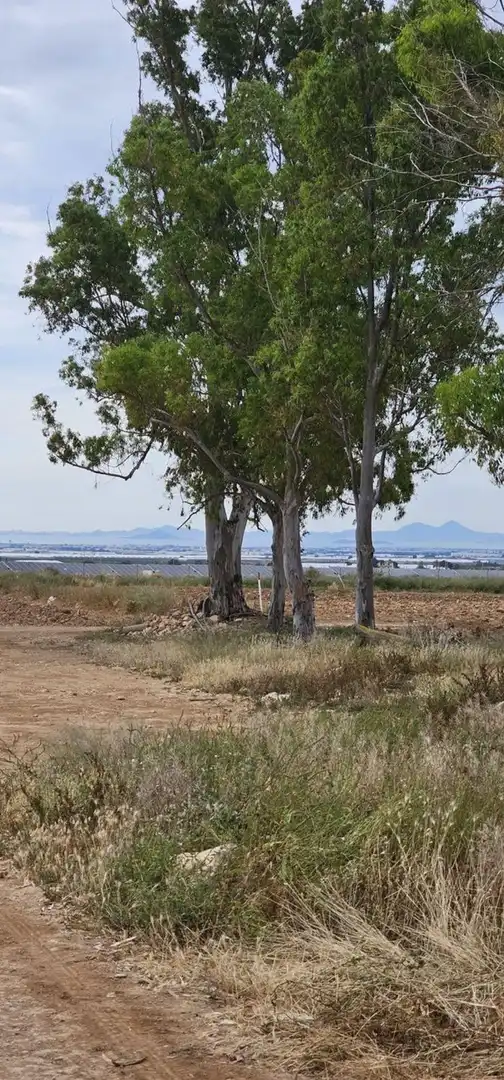 Terreno en venta en Camino el Hornico, Sucina