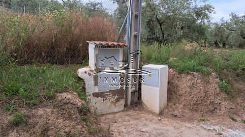 Parcela en zona Zarpazo, en camino del Grajo. Cuenta con una superficie de 1.800 m2. Se encuentra vallada y dispone de un pozo con, imatge 4