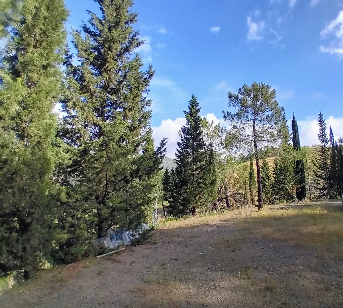 Terreno rustico in vendita a Monda, imagen 3