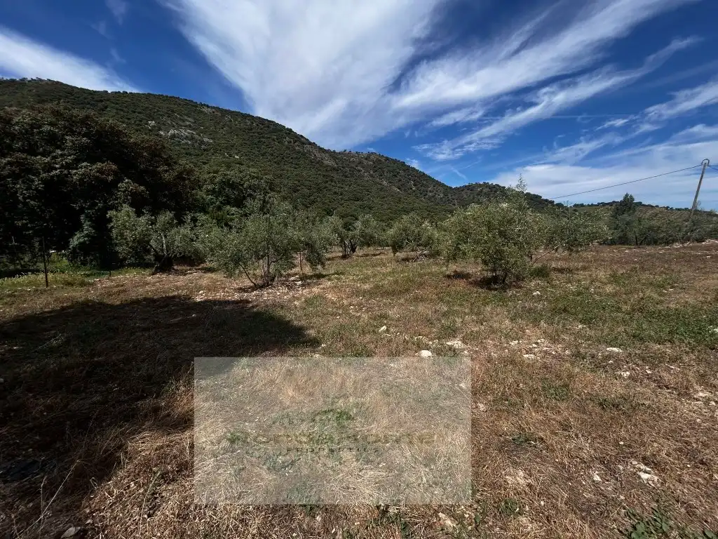 Finca rústica en venda en Ronda amb Piscina