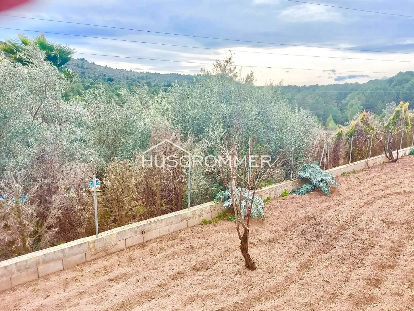 Villa avec piscine à vendre à PEDRISA POLIGONO 25, imagen 20