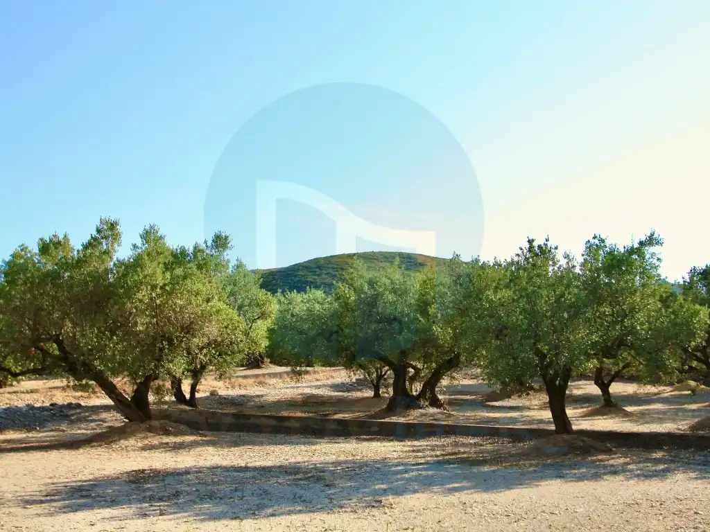 Finca rústica en venta en Roquetes