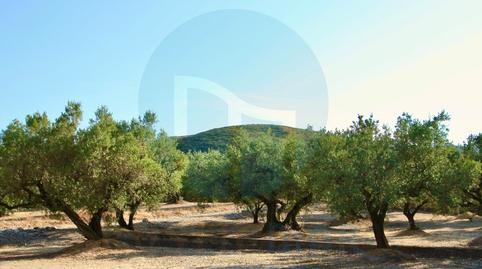 Photo 3 of Country house for sale in Roquetes, Tarragona