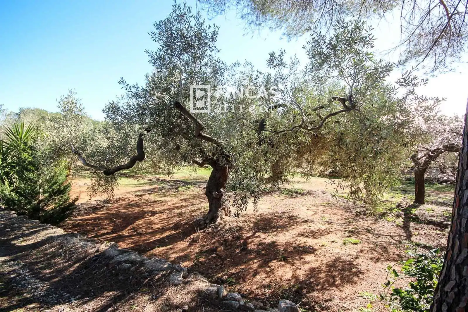 Finca rústica en venda en Camarles amb Terrassa i Moblat