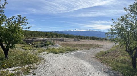 Finca en Padul - carretera de la cabra km 8, immagine 3