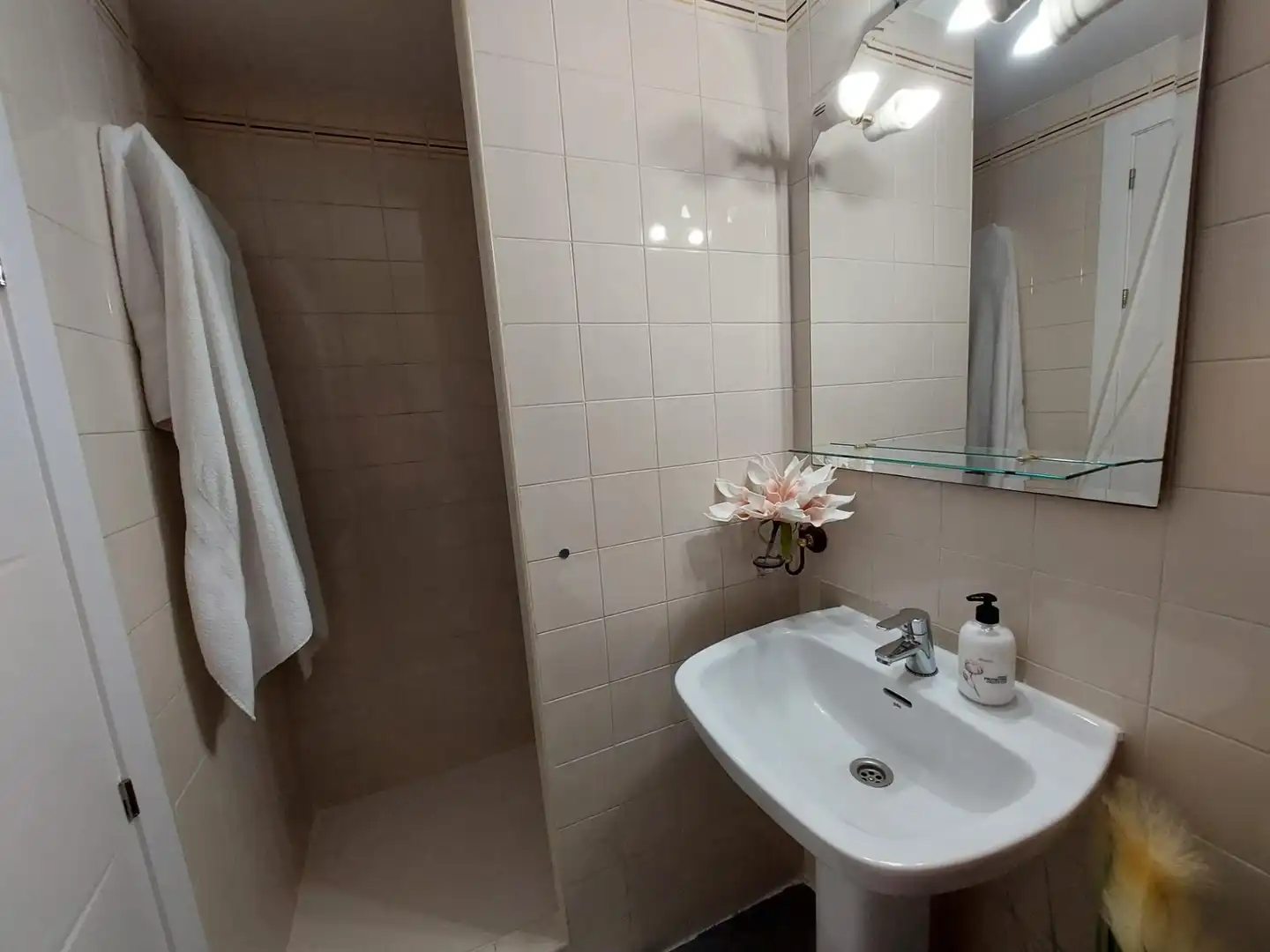 Bathroom of Flat for rent in Alicante / Alacant  with Air Conditioner and Furnished