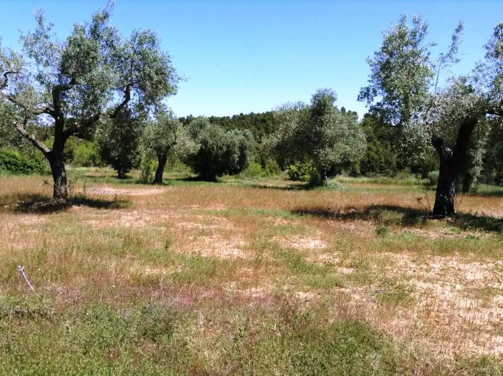 Terreni e lotti in vendita a Arens de Lledó, imagen 9