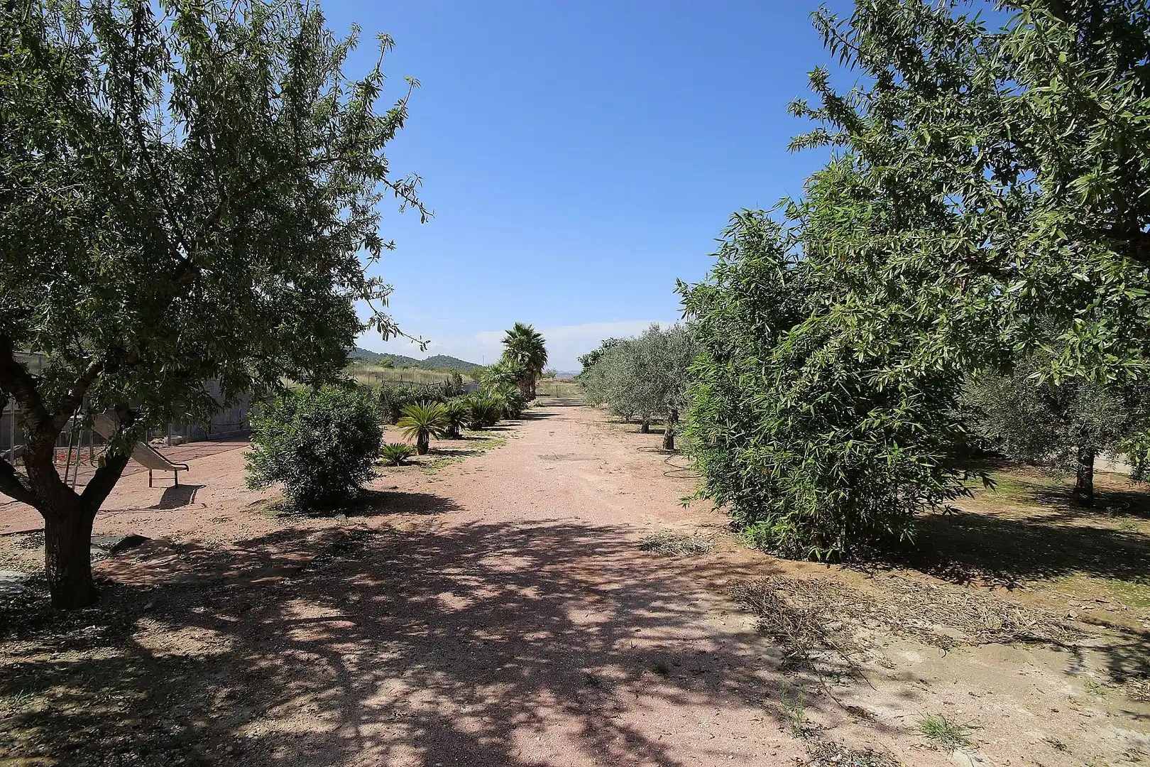 Villa à vendre à Monóvar  / Monòver, imagen 3