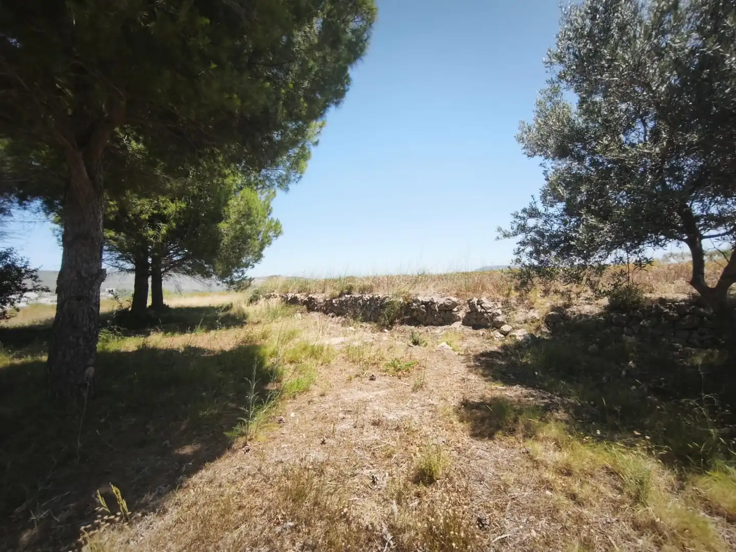 Casa rústica en venta en Montroi / Montroy, imagen 8