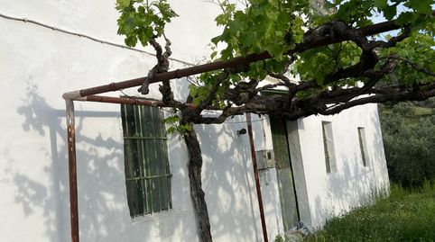 FINCA DE GRAN EXPLOTACIÓN EN CABRA, immagine 5