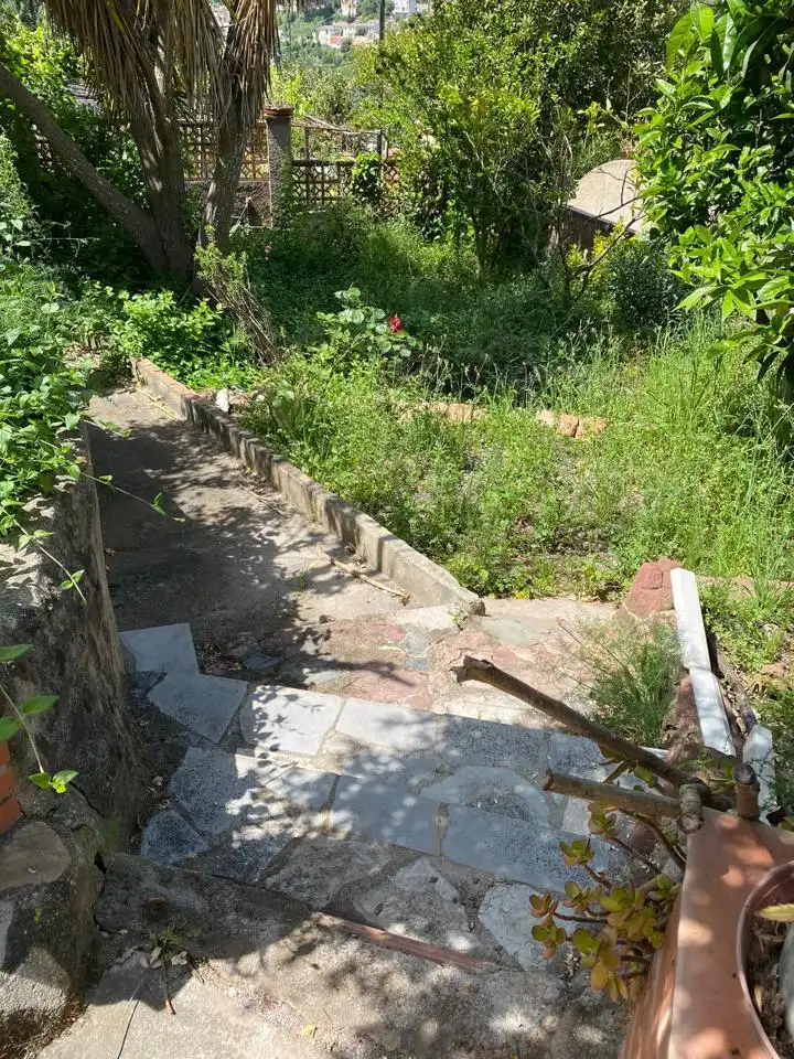 Terrenos y solares en venta en Carrer Vicenç Bou 14, imagen 8