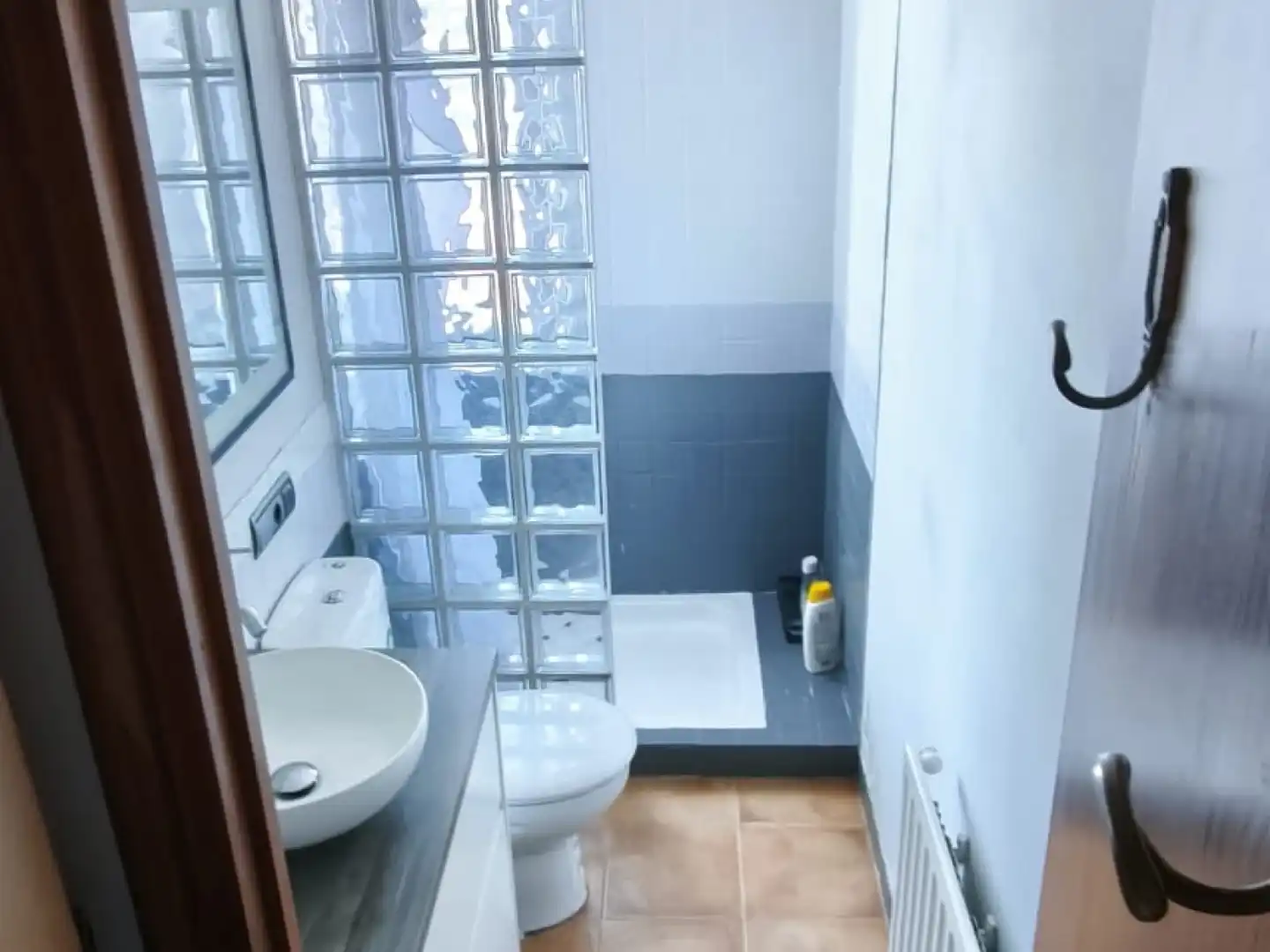 Baño de Piso de alquiler en Donostia - San Sebastián  con Amueblado
