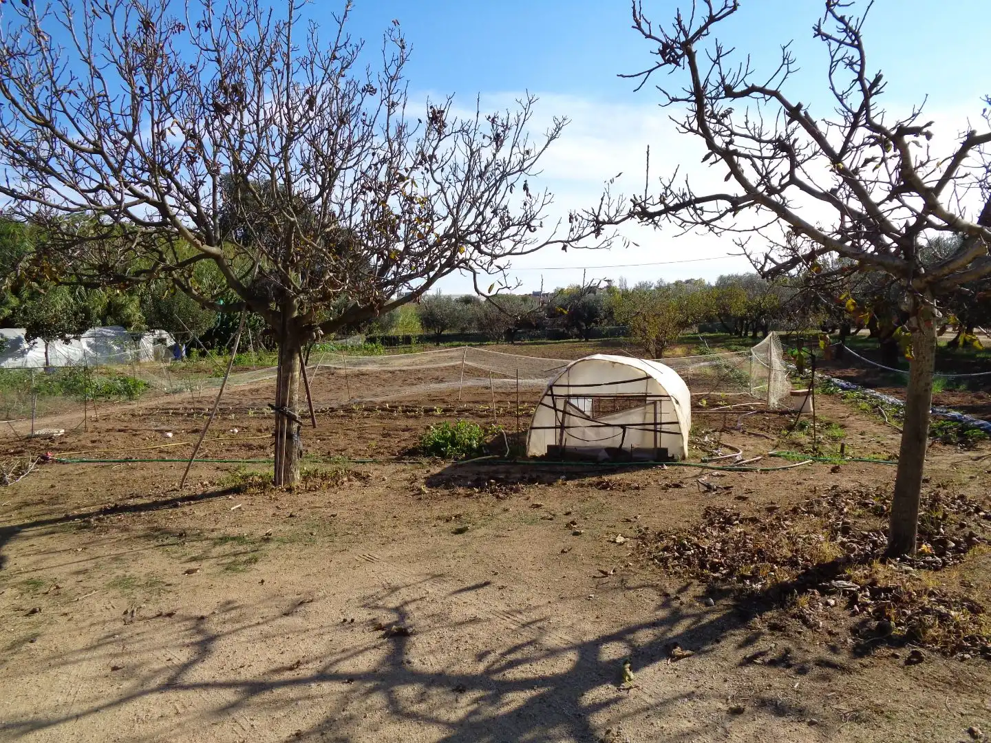 Land for sale in Calonge i Sant Antoni
