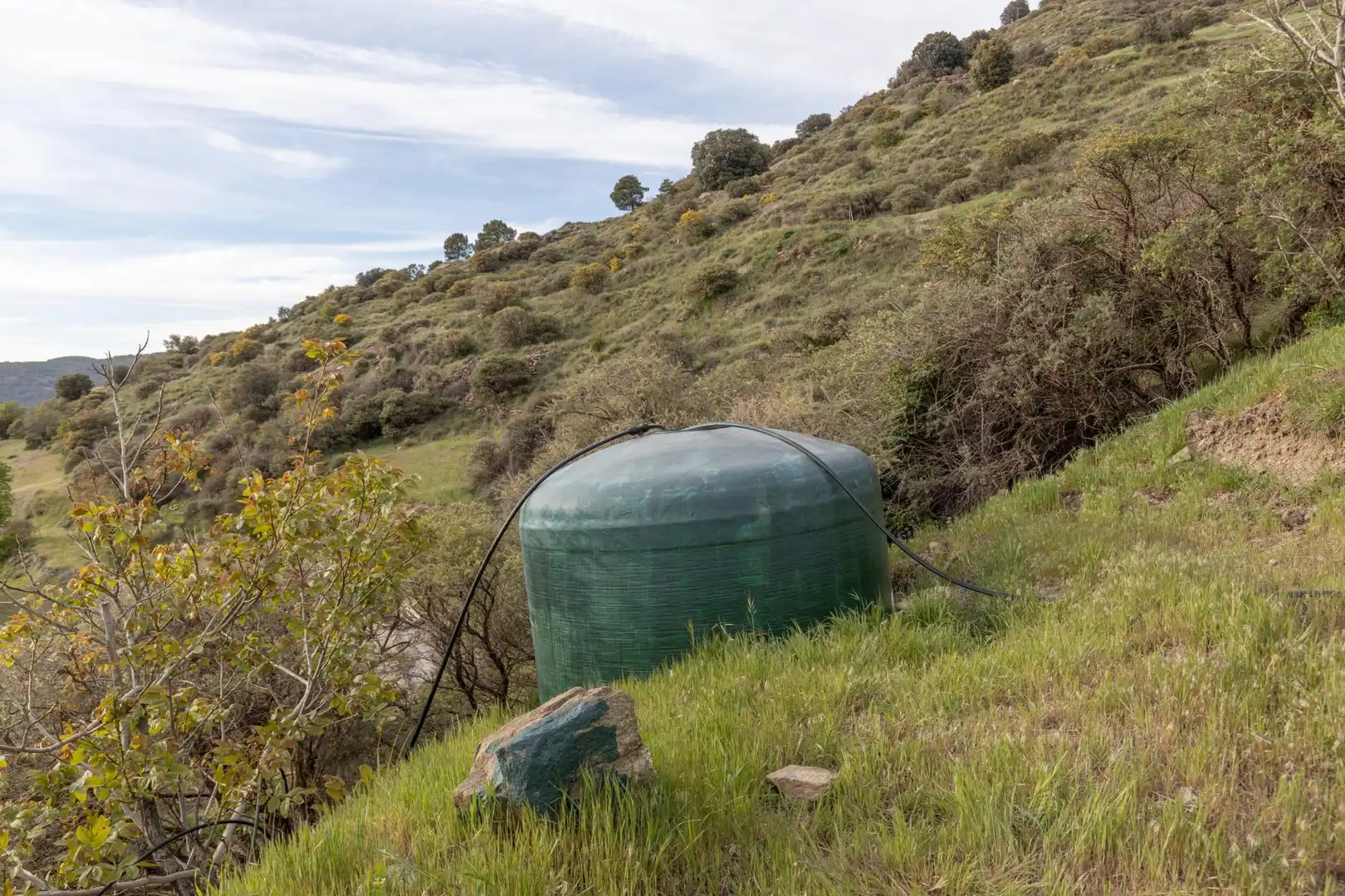 Vista exterior de Finca rústica en venta en Nigüelas con Amueblado