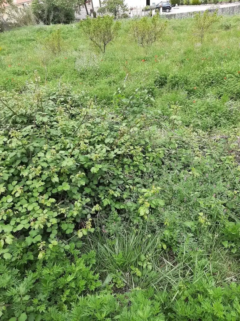 Wohnbaugrundstück zum Verkauf in Campins, imagen 6