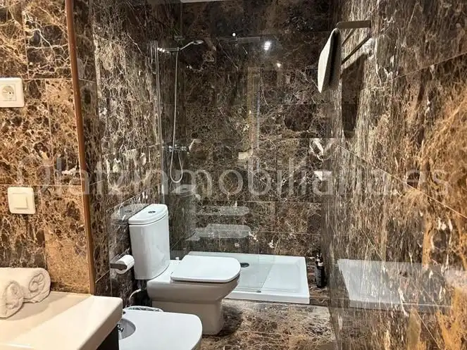 Bany de Casa o xalet en venda en Laudio / Llodio amb Aire condicionat, Calefacció i Jardí privat