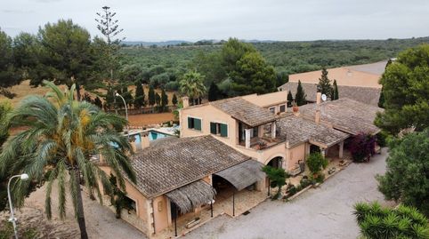 Foto 3 de Finca rústica en venta en De Sa Ràpita, 7, Zona Rústica - Interior, Campos