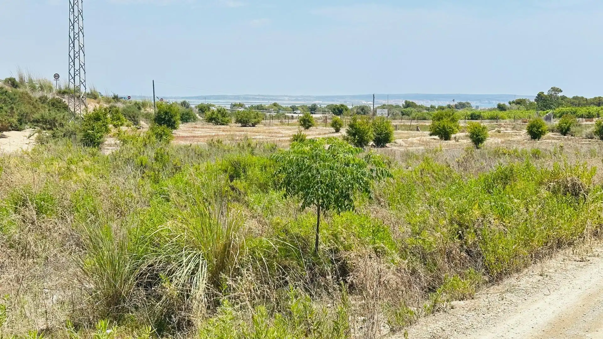 Terrain rustique à vendre à La Marina, imagen 3