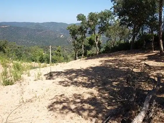 Terreno residencial en venta en Serra Brava, imagen 3