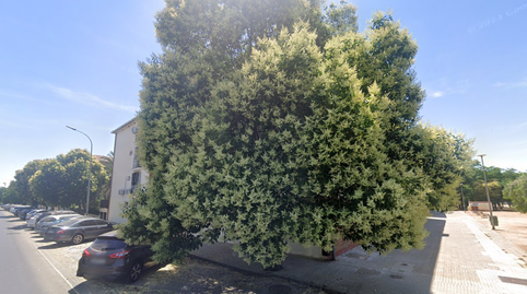 Foto 2 de Piso en venta en Avenida de la Alameda, Poniente-Norte - Miralbaida - Parque Azahara,  Córdoba Capital