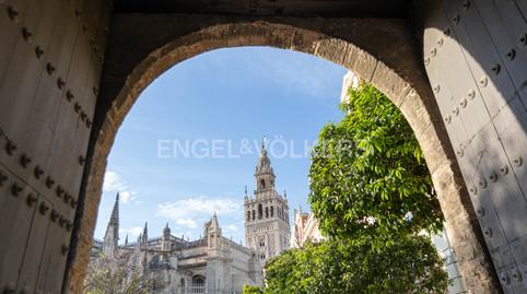 Foto 2 de Casa o xalet de lloguer a Alfalfa - Santa Cruz, Sevilla